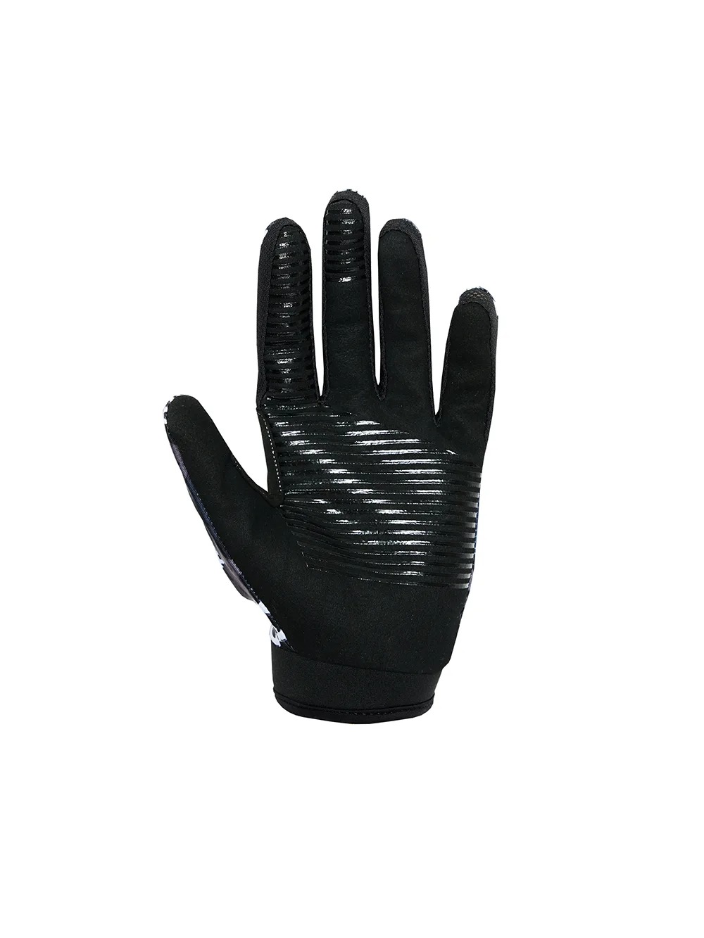 LC0218blg_2 LC0218blg_2