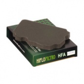 HFA4202 Air Filter 2015_03_23-wtm